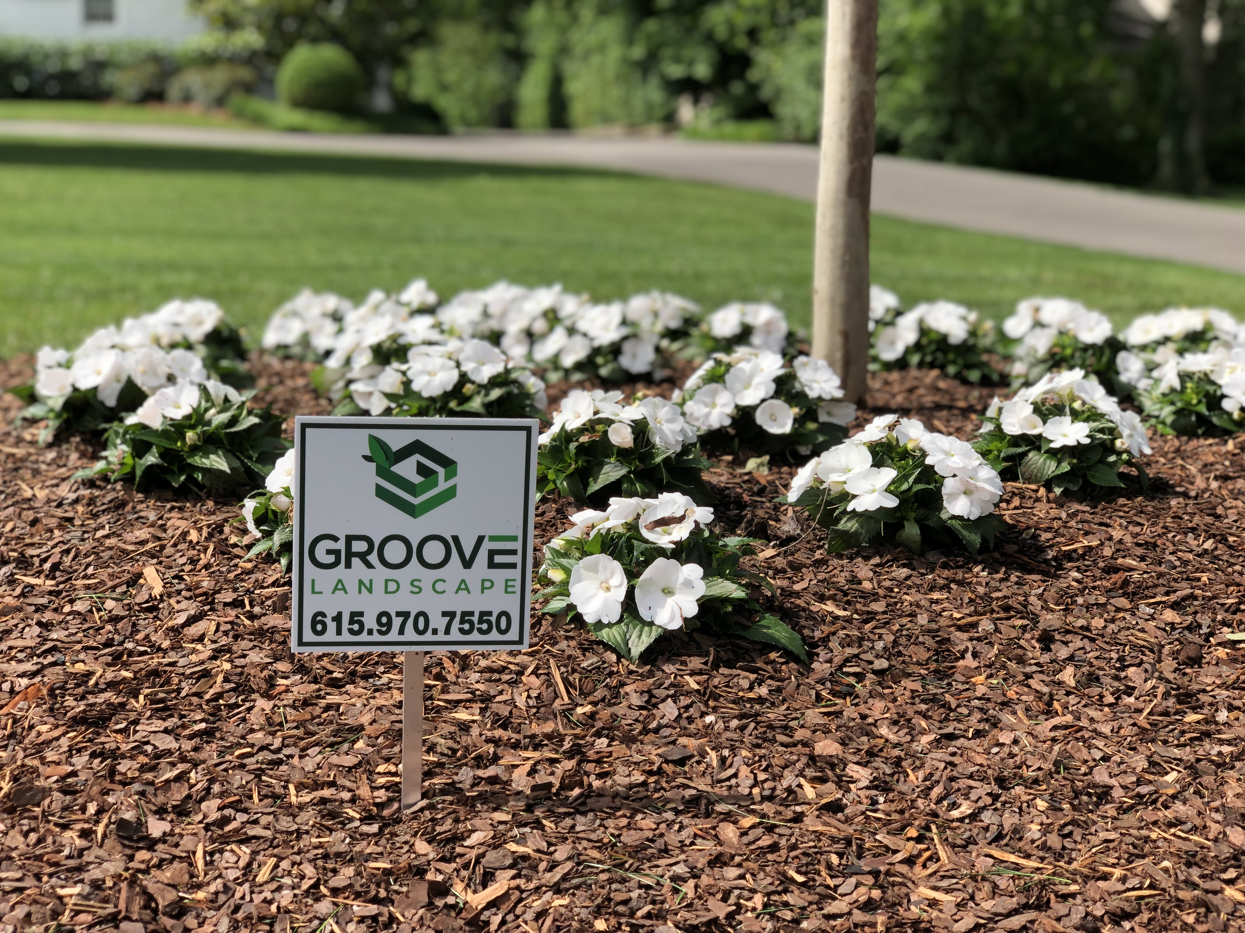 Groove Landscape, Groove Construction, landscape services, lawn care services, Nashville, Middle Tennessee